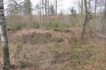 pohled na jádro z vých. valu (© D Dohňanský, 03/2017)