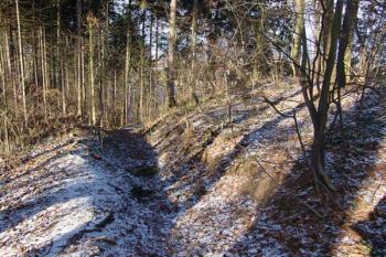 Jižní strana tvrziště s cestou ( © Roman Řezáč 12/2005)