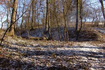 Příkop oddělující tvrz od stoupající planiny ( © Roman Řezáč 12/2005)