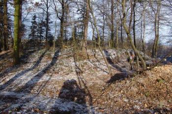 Pohled na tvrziště od jihovýchodu, vpravo čelní příkop ( © Roman Řezáč 12/2005)