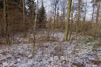 Pohled na tvrziště od východu ( © Roman Řezáč 12/2005)