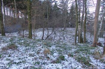 Celkový pohled na tvrz, přes čelní příkop od severovýchodu ( © Roman Řezáč 12/2005)