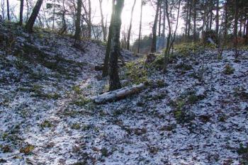 Čelní příkop ( © Roman Řezáč 12/2005)