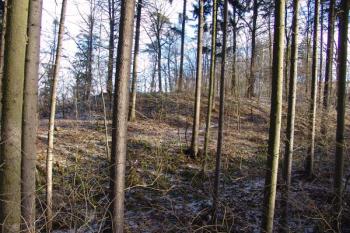 Celkový pohled přes úžlabinu na jihu ( © Roman Řezáč 12/2005)