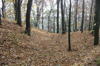 západní příkop,který se směrem na jih srovnává (© D Dohňanský, 11/2015)