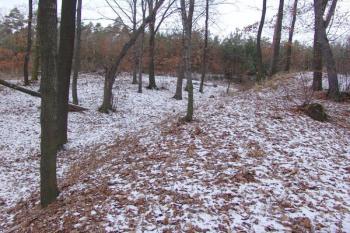 Příkop na jihozápadní straně ( © Roman Řezáč 12/2005)
