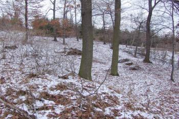 Náznaky příkopu na severovýchodě ( © Roman Řezáč 12/2005)