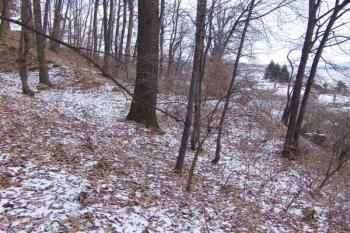 Jediný náznak valu jižně pod tvrzištěm ( © Roman Řezáč 12/2005)