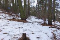 Rožná