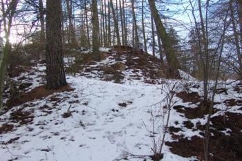Pohled na hrádek od severu ( © Roman Řezáč 12/2005)