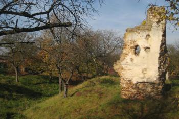 Žerotín (© Zdeněk Susa, 10/2010)