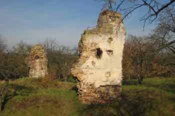 Žerotín (© Zdeněk Susa, 10/2010)