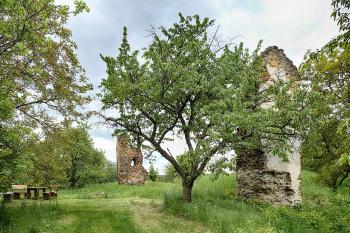 červenec 2017 (© Emanuel Toman, 07/2017)