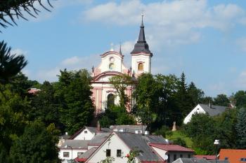  (© Alena Volná, 8/2010)