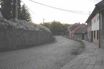 průběh hradeb a valu ve směru od kostela ( © Ondřej Štěpánek 05/2006)