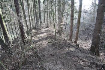 Záhyb valu nad rybníkem (© Jan Večeřa, 02/2016)