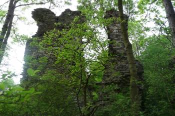 Chlum u Čáslavi (© Jaroslav Šefčík, 05/2009)