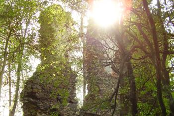 sluníčko na Chlumu (© Rodochrozit, 09/2006)