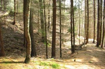 Lacembok - val (2003 ©Puffin)