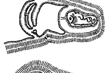 Nahoře skica celkové situace, dole terénní náčrt jádra ( © T. Durdík - Ilustrovaná encyklopedie českých hradů - Libri, Praha 2000)