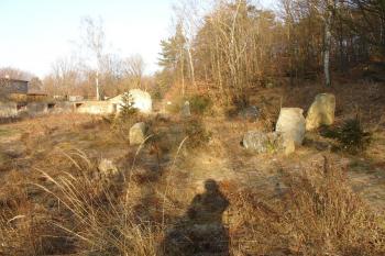 Areál před lomem ( © Jiří Čížek 12/2008)