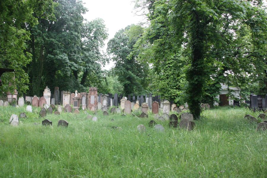 židovský hřbitov