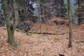 pohled na jádro hradu zhora (© Rodochrozit, 11/2006)