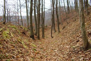 jeden z hradních příkopů (© Rodochrozit, 11/2006)