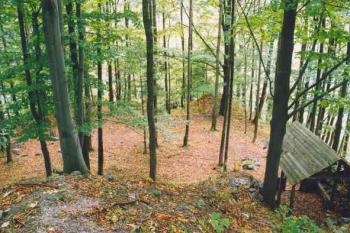 Pohled z trosek paláce vnitřního hradu k barbakánu (2003 ©Petr Šantrůček)
