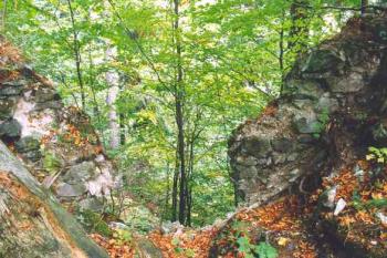 Pohled na fragment zdi vnitřního hradu (2003 ©Petr Šantrůček)