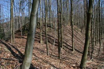 První příkop a předhradí ( © Petr Nožička 04/2010)