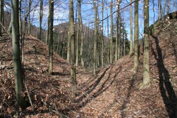 První příkop ( © Petr Nožička 04/2010)