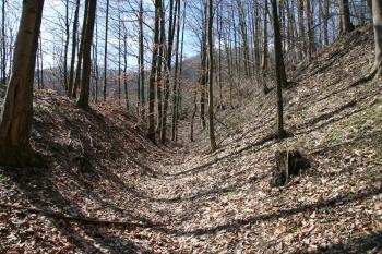 Příkop ( © Petr Nožička 04/2010)