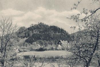 Zřícenina hradu Potštejn, pohled od Záměle. Autor pohlednice z 30. let 20. století (© V. Teklý)