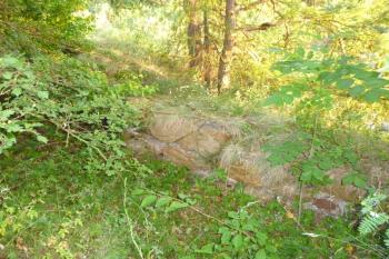 Zřícenina hradu Vildštejn (© Vlastislav Mareček, 06/2014)