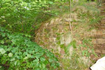 Zřícenina hradu Vildštejn (© Vlastislav Mareček, 06/2014)