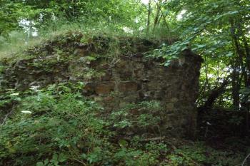 Zřícenina hradu Vildštejn (© Vlastislav Mareček, 06/2014)