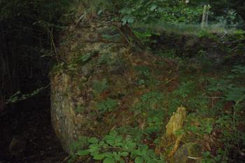 Zřícenina hradu Vildštejn (© Vlastislav Mareček, 06/2014)
