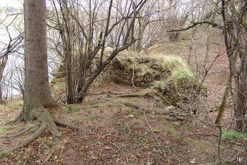 Zbytky bašty asi 100 m severně od hradu, dnes na soukromém pozemku ( © Roman Řezáč 04/2005)