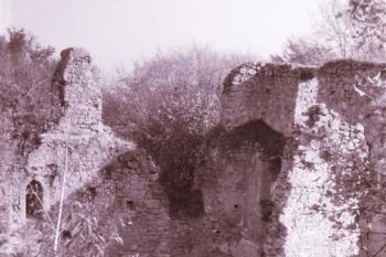 pohled z bergfritu do paláce (© zdeněk komínek, 10/1993)