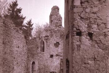 pohled do paláce (© zdeněk komínek,02/1992)