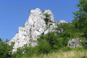 Pohled na strmou skálu zvanou Martinka, situovanou nedaleko hradu (© Jan P. Štěpánek 07/2006)