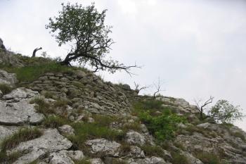 Zbytky zdí hradu ( © Jiří Čížek 07/2004)