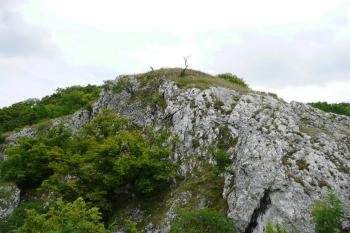 pohled na skalnaté čelo kupy s pozůstatky zdiva bývalého hradu ( © Jan P. Štěpánek 07/2008)