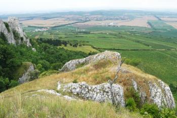 pohled na nižší části hradu a skálu Martinku vlevo v pozadí ( © Jan P. Štěpánek 07/2008)