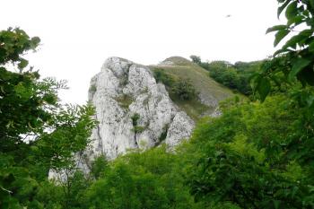 pohled od jihu na skálu s vrcholovou plošinou, ke stával tzv. Nový hrad ( © Jan P. Štěpánek 07/2008)