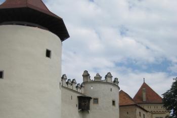  (© Zdeněk Susa, 08/2008)