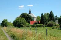 Svijany