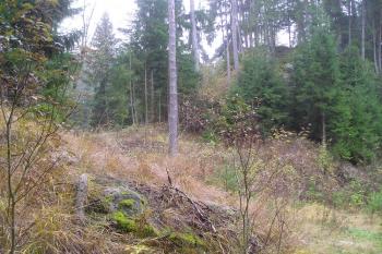 Hrad Hus (© Bohumil Toms, 10/2011)