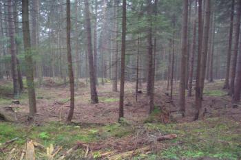 Hrad Hus (© Bohumil Toms, 10/2011)